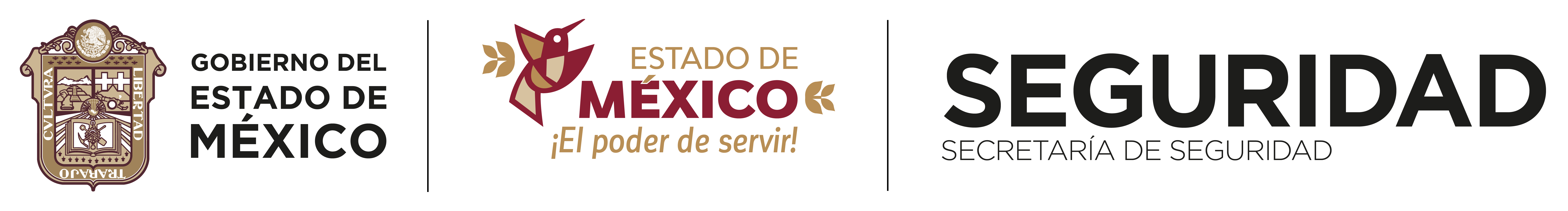 Universidad Mexiquense de Seguridad